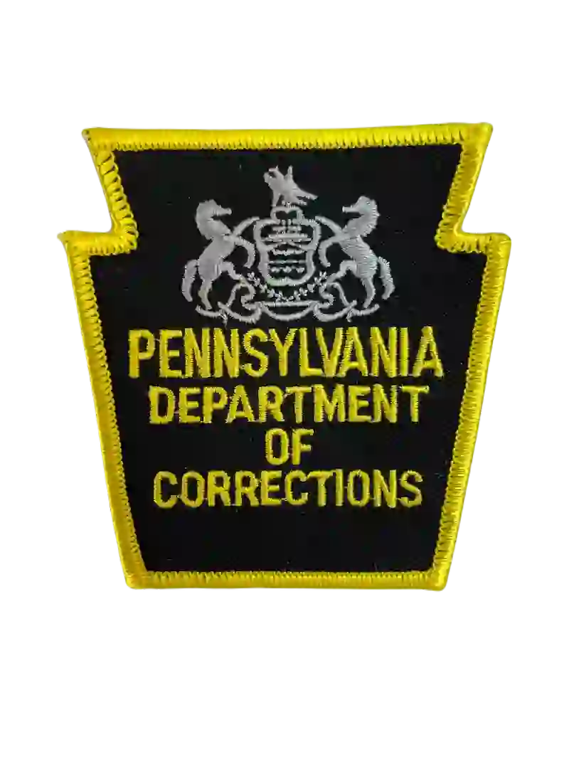 insignias de correcciones